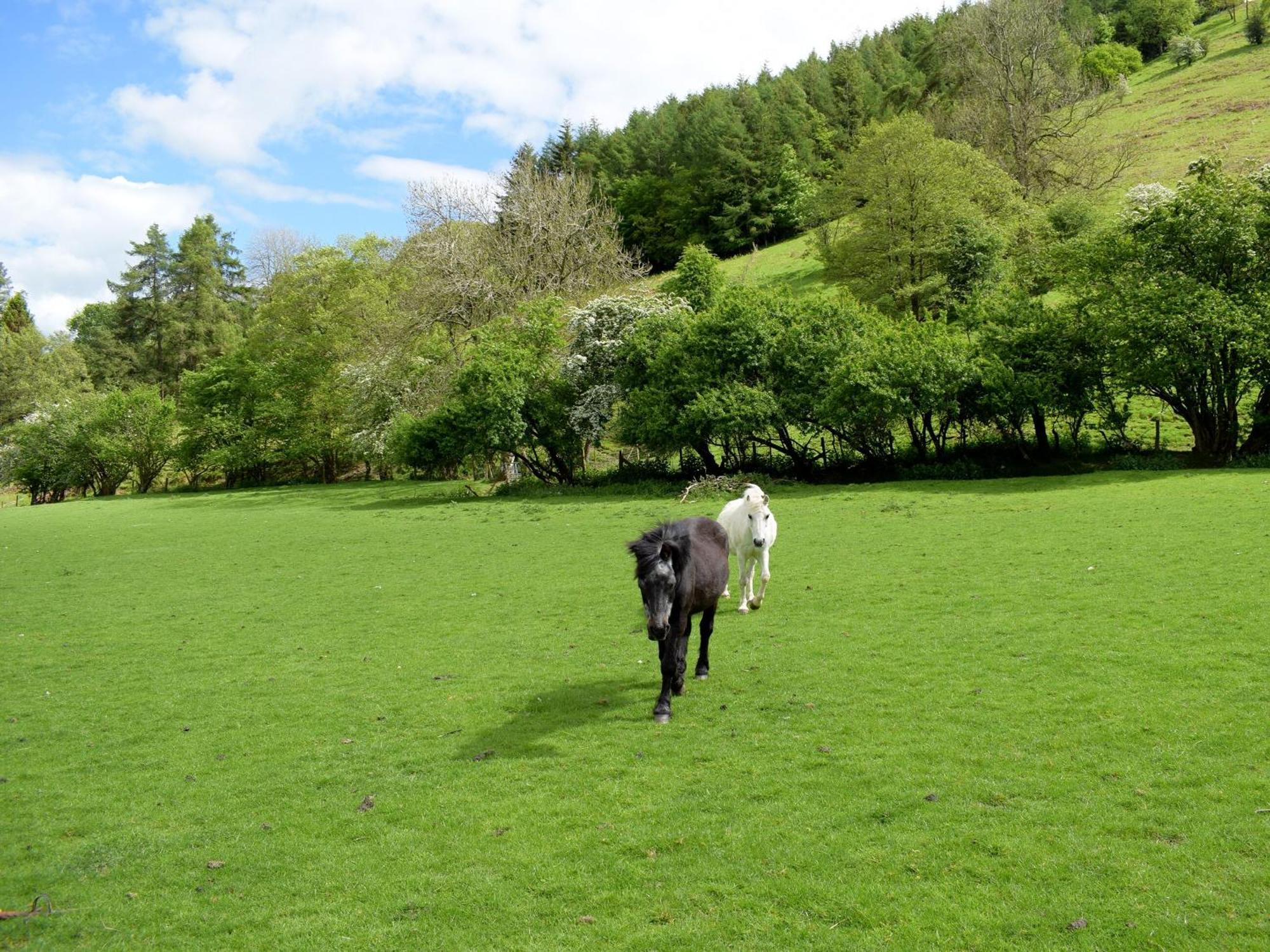 Lower Goytre Farmhouse Llanfair Waterdine Bagian luar foto